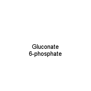 Gluconate 6-phosphate